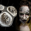The Barnacles