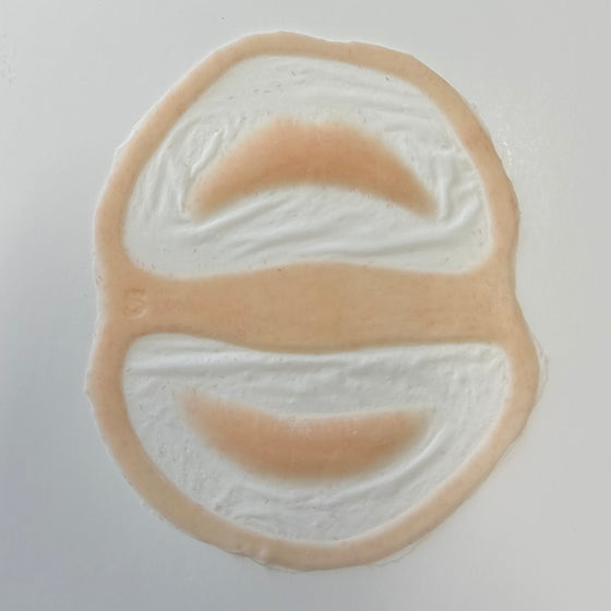 lip prosthetic