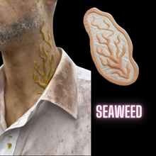  The Seaweed