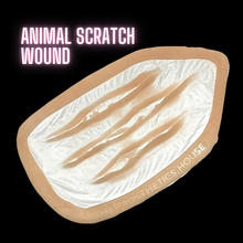  The Animal Scratch Wound