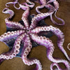 The Octopus