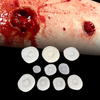 Bullet Wound Bondo Moulds Sets