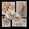 Discounted / Reject Prosthetics